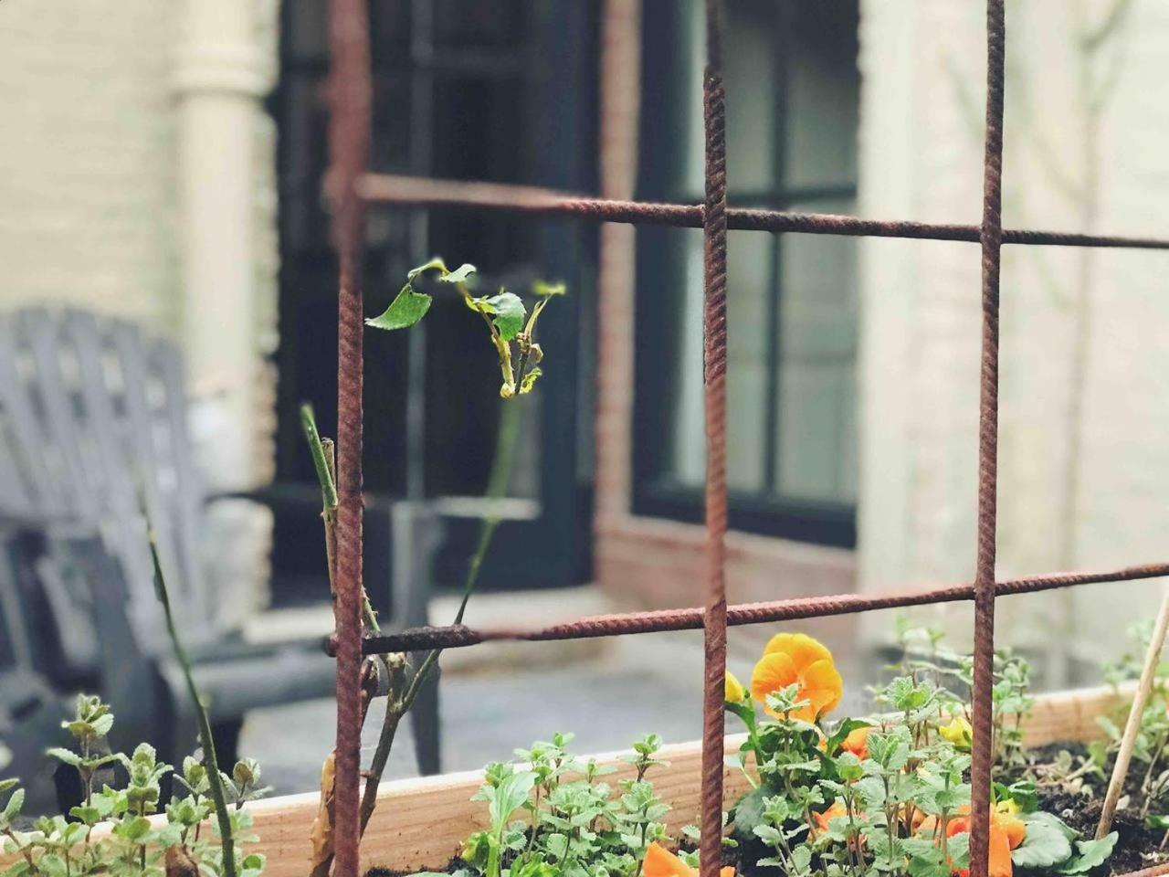 De Pastorie Daire Middelburg Dış mekan fotoğraf